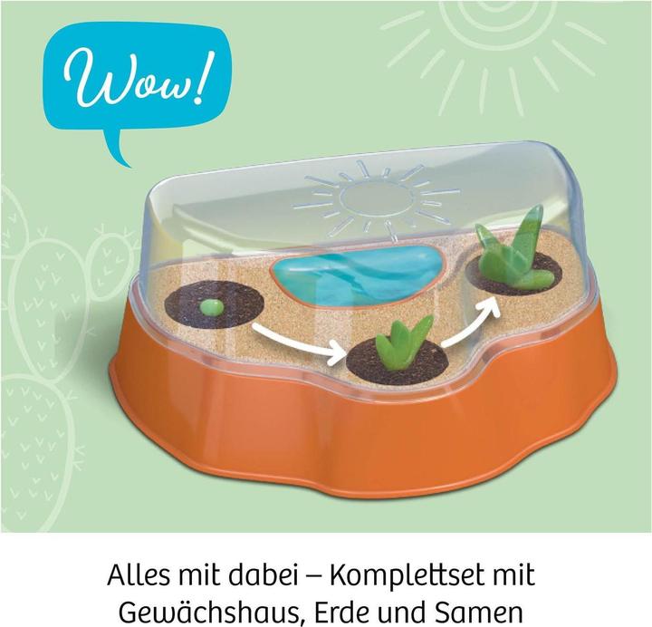 Produktbild Kosmos Kakteen-Wüste