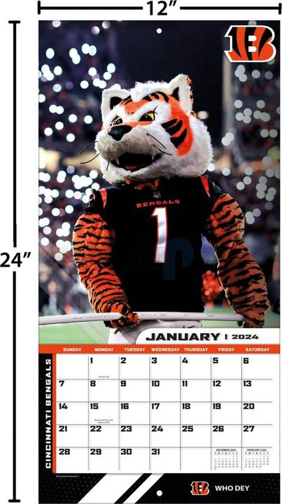 Actual product image NFL - NFL Maskottchen - 30,5 x 30,5 cm Wall Calendar 2024 (English, German, French, Italian, Spanish)