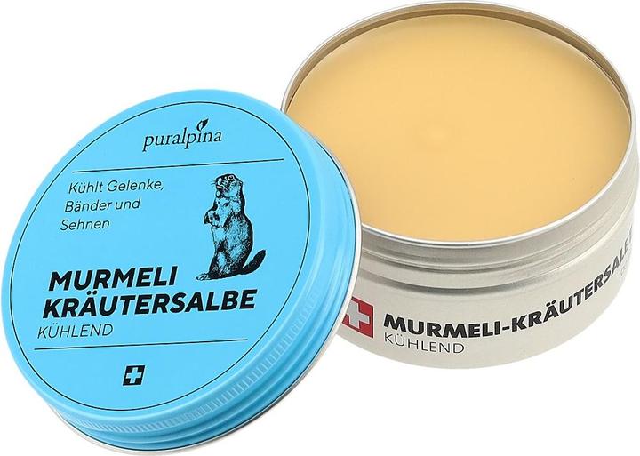 Produktbild Puralpina Murmeli-Kräutersalbe (1 x, 100 ml, 110 g)