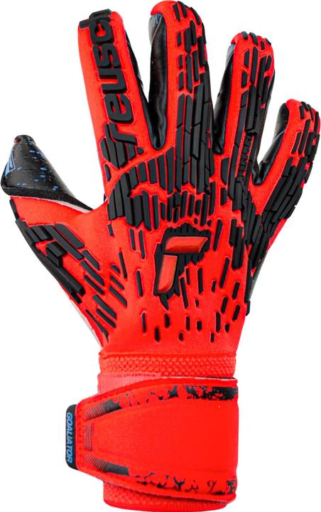 Produktbild Reusch Attrakt Freegel Fusion Goaliator Torwarthandschuhe (10.5)