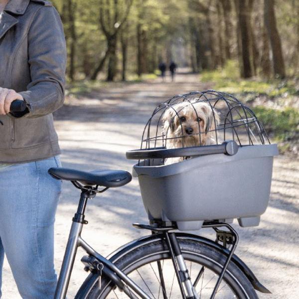 Image du produit New Looxs Set animal Clipper