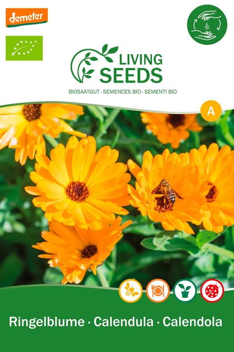 Living Seeds Ringelblume (Blumensamen)