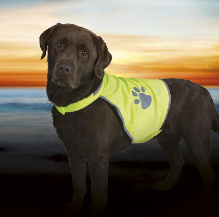Actual product image Trixie Safety vest for dogs (XL, Dog vest)