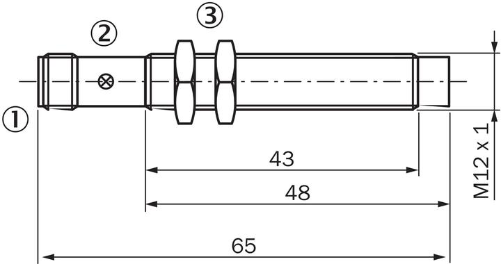Actual product image Sick Inductive (Sensor)