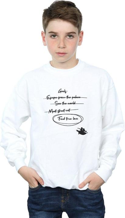 Actual product image Disney Boys Aladdin Jasmine Goals Sweatshirt (152, 158)
