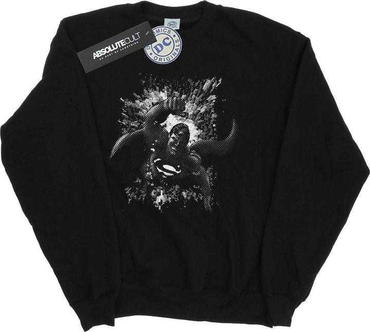 Produktbild Superman Spot Sweatshirt (M)