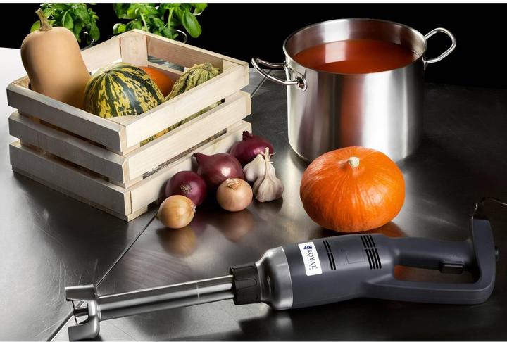 Actual product image Royal Catering Stick Blender - mixer with immersion blender - 16,000 rpm - 350 W