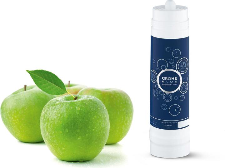 Actual product image Grohe Blue Filter (1 x)