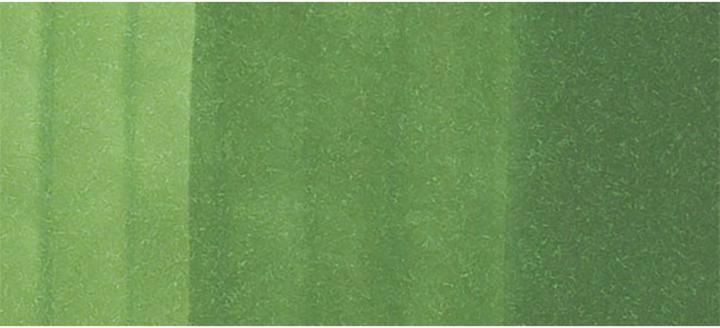 Actual product image Copic Graphic marker Classic type YG - 67 (YG67 - Moss, 1 x)