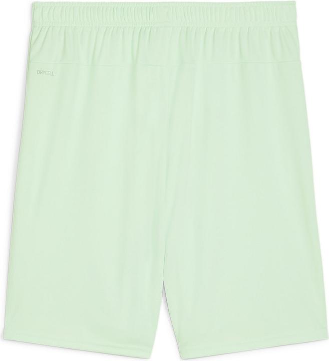 Actual product image Puma teamGOAL shorts (S)