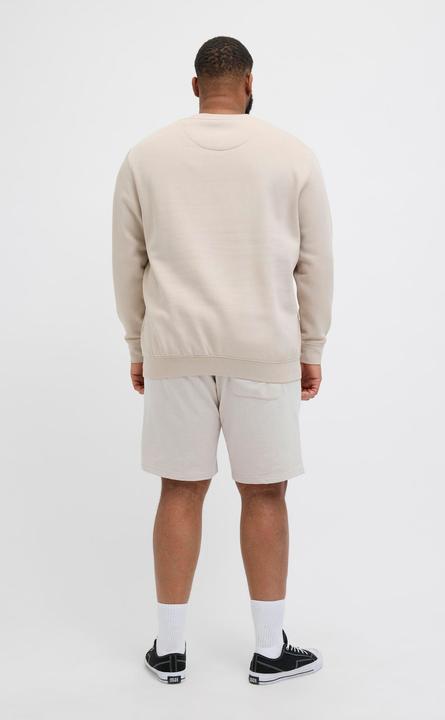 Immagine prodotto Jack & Jones Plus Size Loose Fit Sweat-Shorts Sweat-Shorts (40)