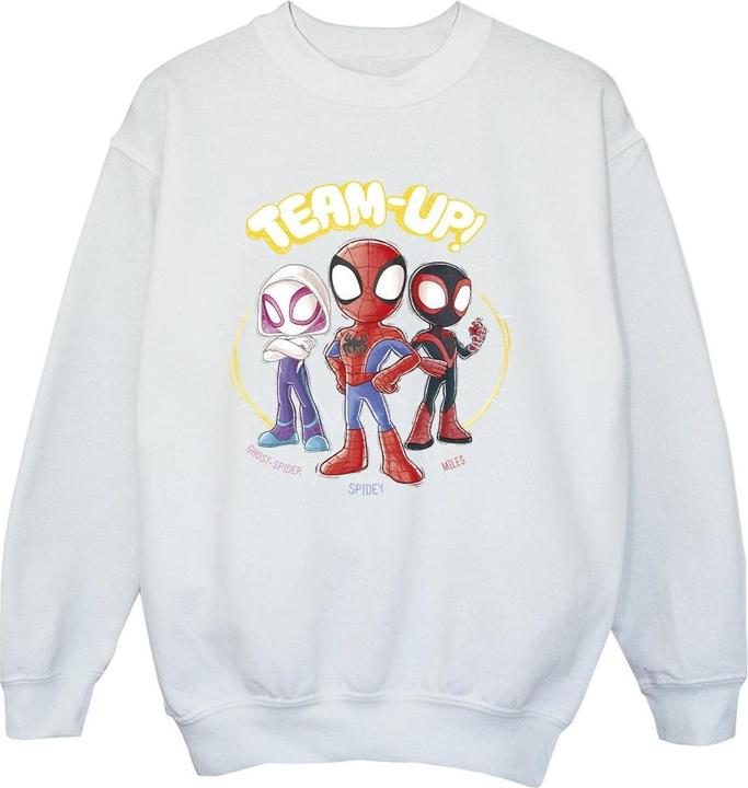 Spidey And His Amazing Friends Sketch Sweatshirt Jungen