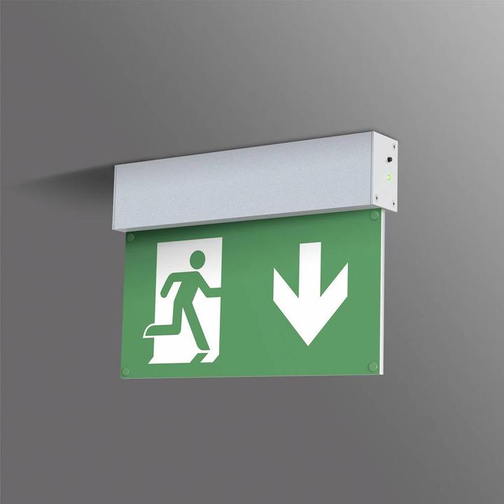 Actual product image kaiserkraft Escape sign luminaire, L-LUX STANDARD, ceiling mounting.