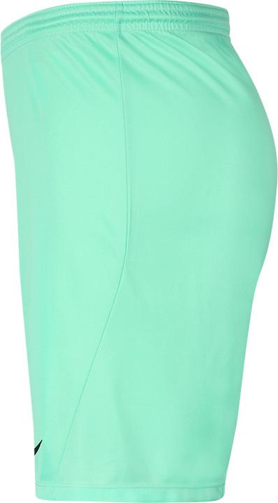 Actual product image Nike Park Iii Short (L)
