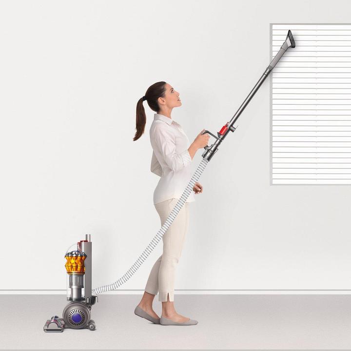 Actual product image Dyson Small Ball Multifloor