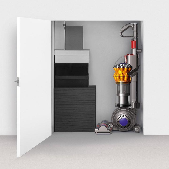 Actual product image Dyson Small Ball Multifloor