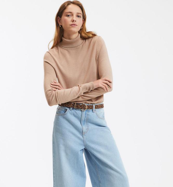 Produktbild La Redoute Collections Rollkragenpullover (XXL)