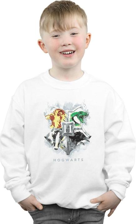 Actual product image Boys Hogwarts Painted Crest Sweatshirt (116)