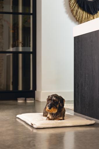 Productafbeelding Designed by Lotte Ligkussen Nalino (Hond)