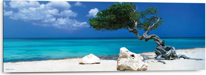 Eibert Visual Divi Divi Tree (30 x 90 cm)
