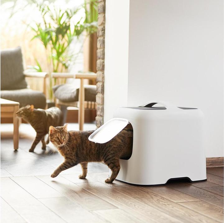 Actual product image Rotho Biala (Cat litter tray open)