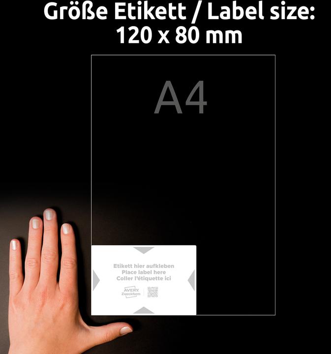 Actual product image Avery Carrier labels