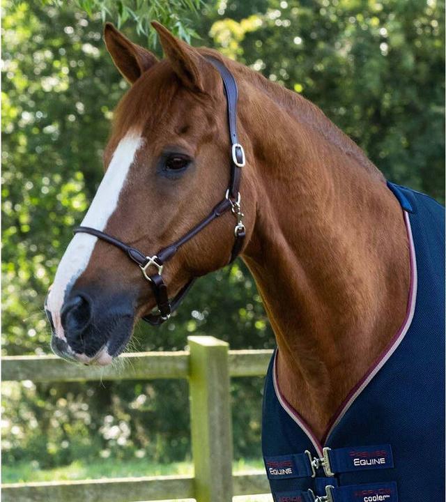 Produktbild Premier Equine Airflow Cooler (206 cm)