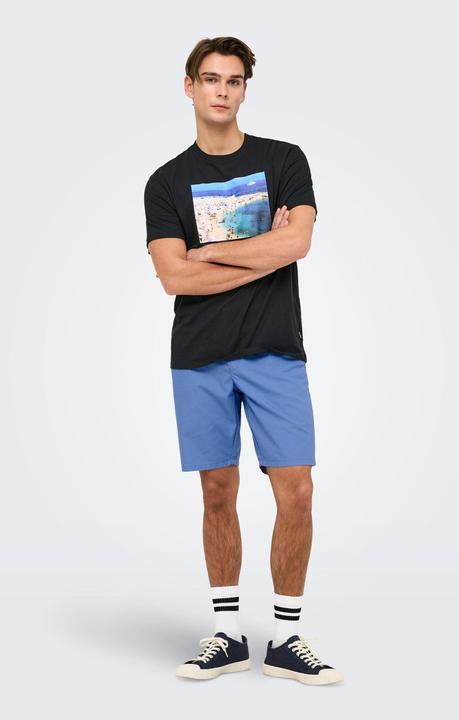 Actual product image Only & Sons ONSKAL Slim Fit Shorts Chino Shorts (L)