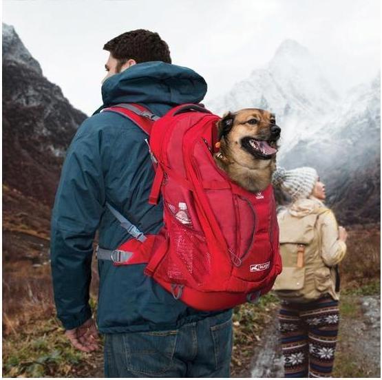 Produktbild Kurgo G-Train K9 (Hund, Sicherheitsverschluss)