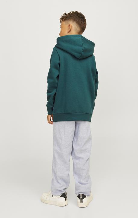 Actual product image Jack & Jones Jjecorp Logo Sweat Hood Noos Jnr (164)