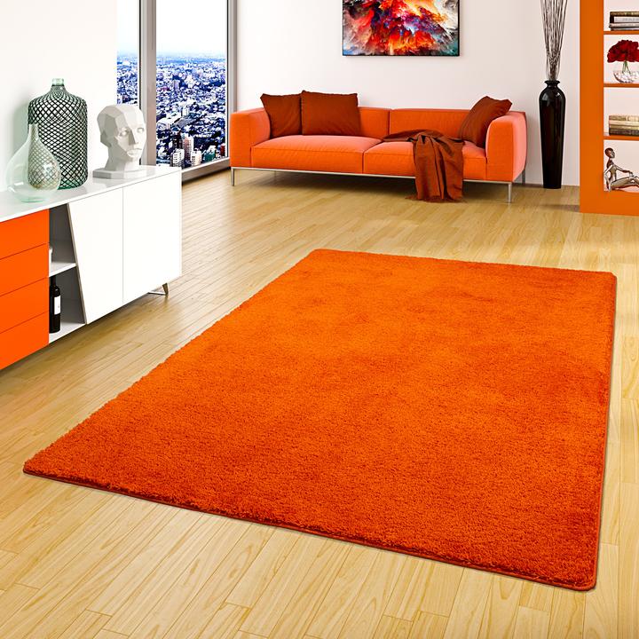 Image du produit Snapstyle Palais du tapis à poils longs (133 x 133 cm)