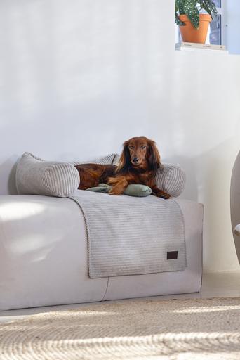 Produktbild Designed by Lotte Ribbed (Hund)