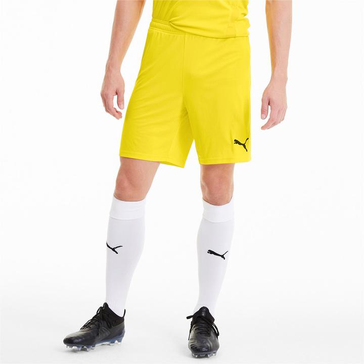 Actual product image Puma teamGOAL 23 knit shorts-704262 (46 E)