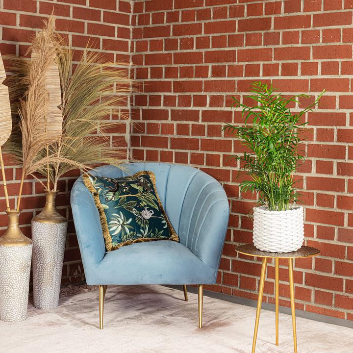 Produktbild Flowerbox Bergpalme - Chamaedorea elegans (70 cm)
