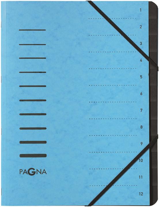 Immagine prodotto Pagna Cartella 12 scomparti (A4, 1 x)