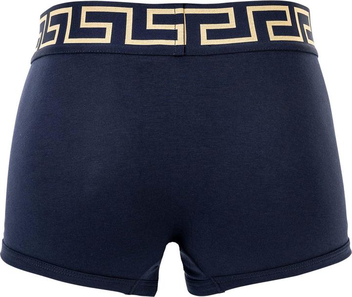 Actual product image Versace Underpants Tri-Pack Trunk Jersey Topeka Bi-Stretch Cotton Organic New Logo (S, pack of 3)