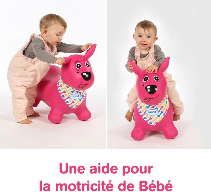 Actual product image LUDI Bouncing dog