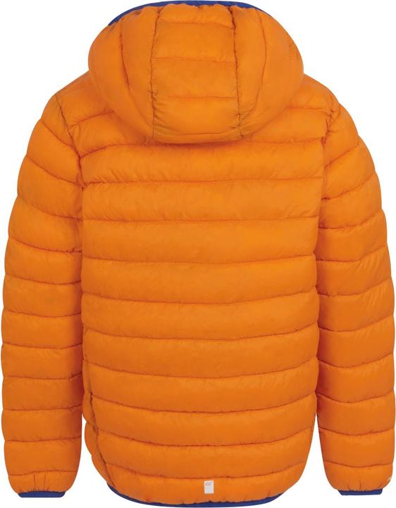Actual product image Regatta Childrens/Kids Marizion Hooded Padded Jacket (158)