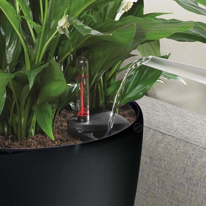 Produktbild Lechuza Classico Color (42 cm)