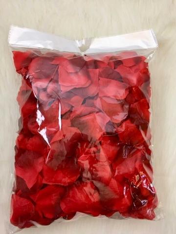 Image du produit Partydeco Roses à bord sombre