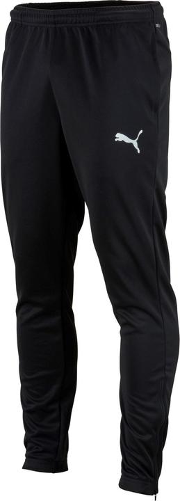 Actual product image Puma teamRISE Poly Training Pants-657390 (XL)