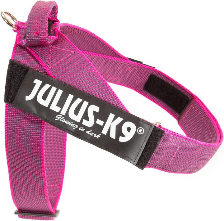 Produktbild Julius-K9 K9 GURTGESCHIRR GR 2 ROSA 71-9 (XL, Hund, Spazieren, Allgemein)