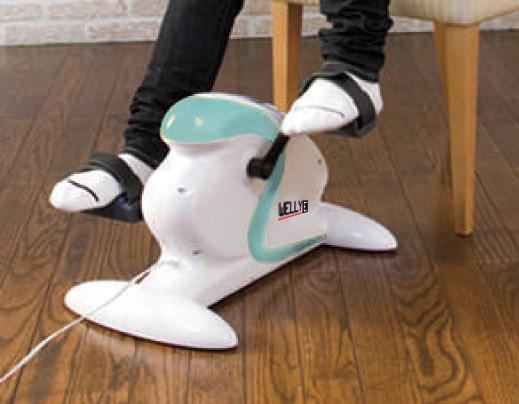Actual product image EverFit Welly E