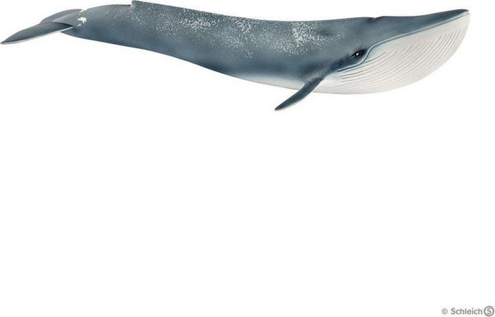 Actual product image Schleich Blue whale