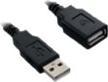 Image du produit V7 Câble de rallonge (1.80 m, USB 2.0)