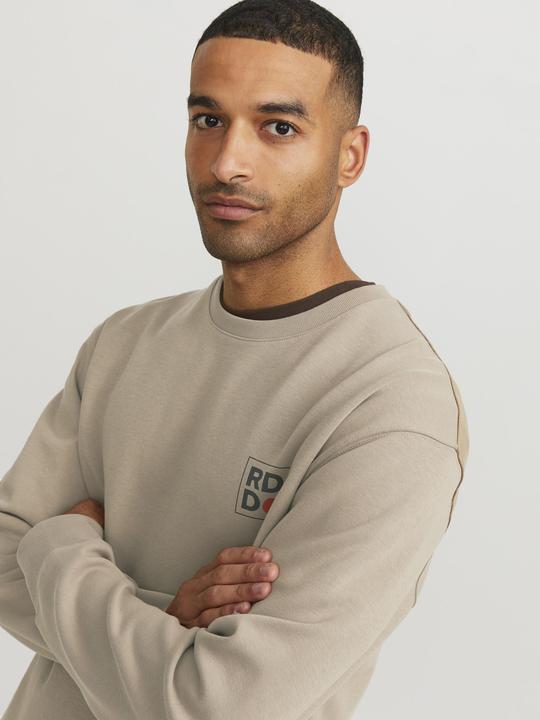 Produktbild Jack & Jones RDD Dean Sweatshirt (S)