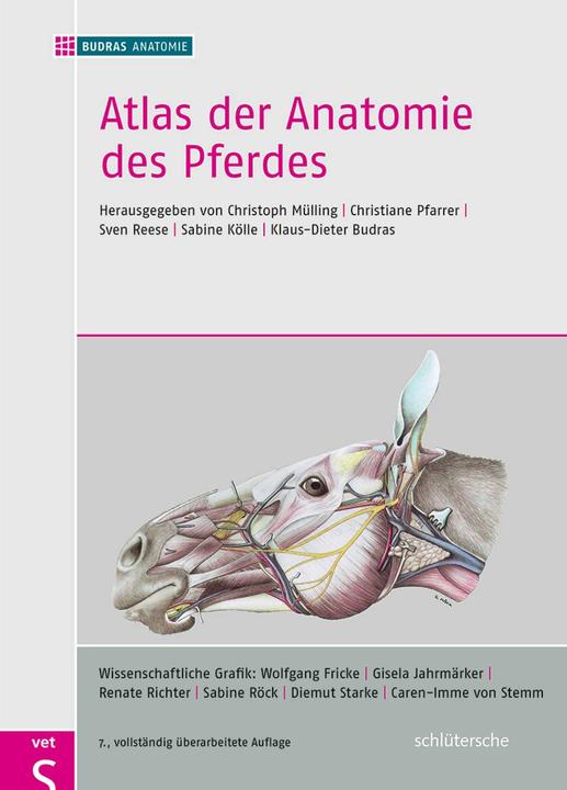 Produktbild Atlas der Anatomie des Pferdes (Deutsch, BUDRASANATOMIE, 2014)