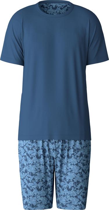 Saragozza blu