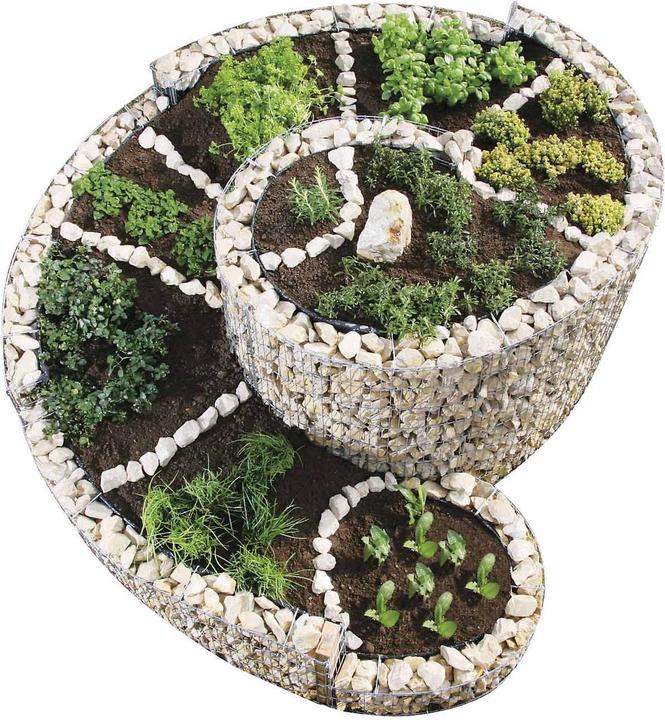 Actual product image Bellissa herbal spiral