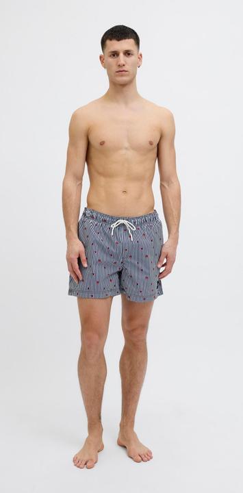 Immagine prodotto Jack & Jones Jpstmaui Jjswim Mini Stripe Akm Sn (L)
